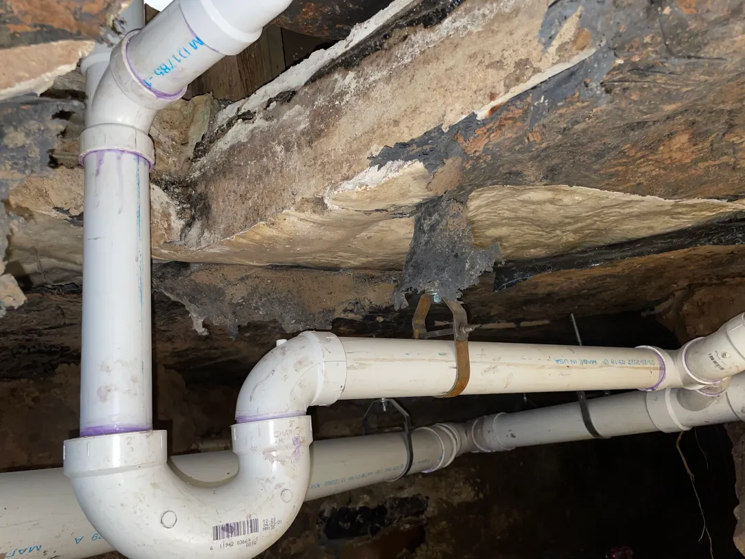Sewer Line Replacement 40