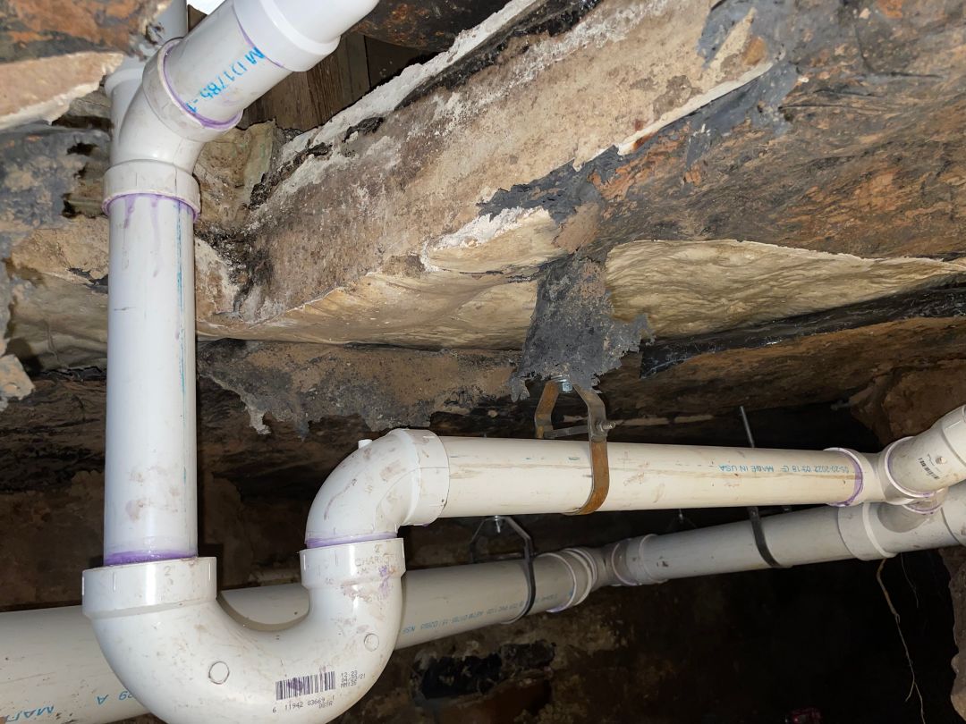 Sewer Line Replacement 40