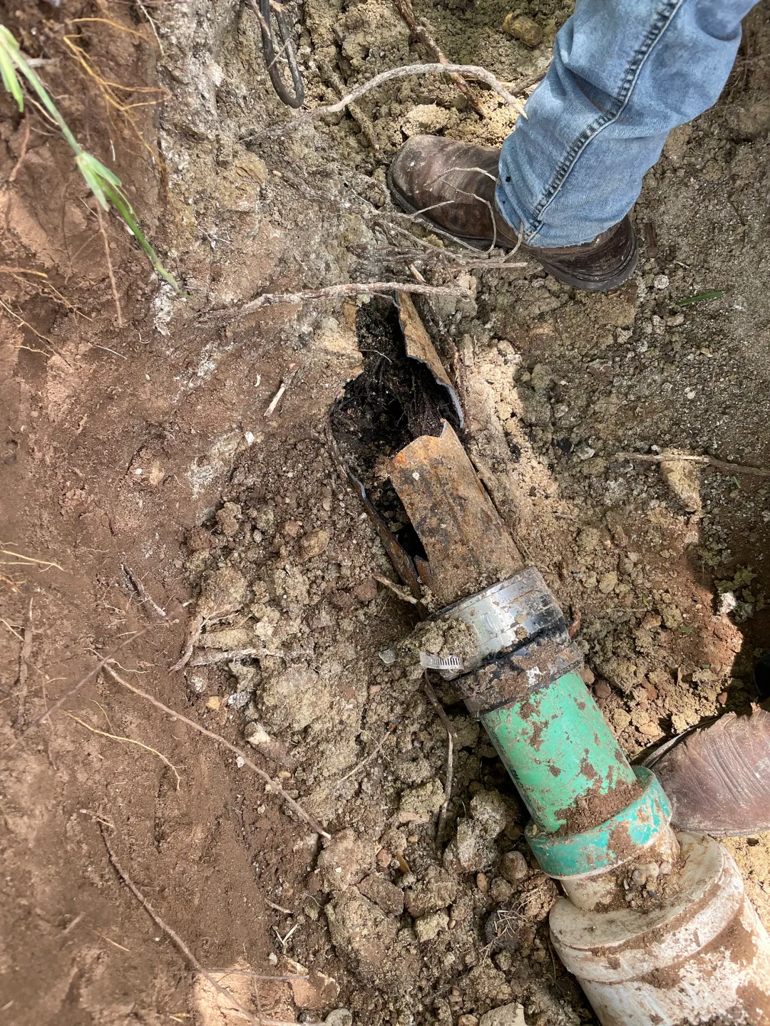 Sewer Line Replacement 19